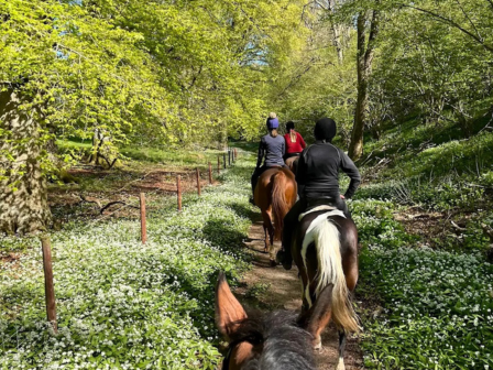 Wiltshire and Bournemouth